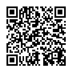 下了班机的刘在石等人立刻发现金在珉后背印出来的红色血渍二维码生成