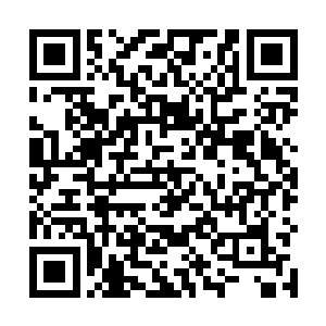 下了飞机的王长林也是看了一下自己的儿子和未来儿媳二维码生成