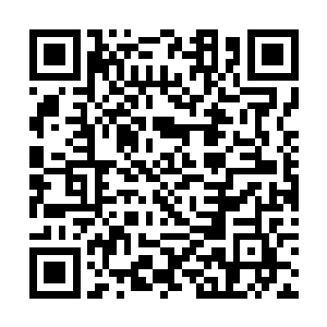 下人们打骂他的时候他也没有哭……可是晏锦对他好二维码生成