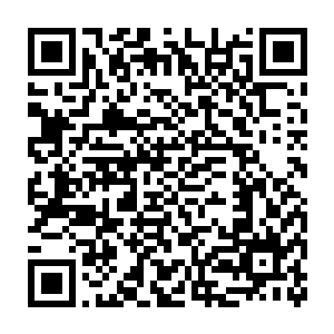 下午县政府常务会议上的消息只用了一两个小时就传遍了整个县城二维码生成