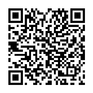 下午柳逸尘让众人悠哉悠哉的就把剩下的任务给完成了二维码生成