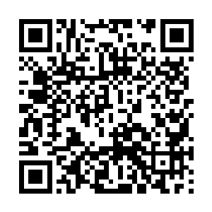 下午王三全和姚满屯又带着王若霞王若萍下地干活二维码生成