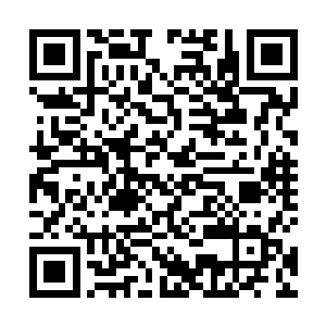 下午的时候我和泰熙两个人跟他们三个人谈了一段时间二维码生成