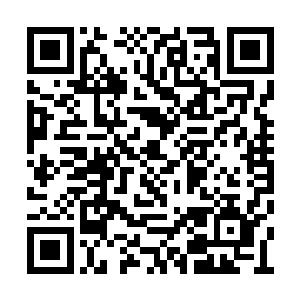 下官也很想知道王爷有何急事竟然丢下这件要案二维码生成