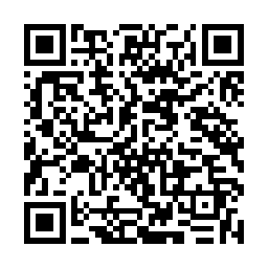 下官已经很清楚事件的整个过程了……公子事务繁忙二维码生成