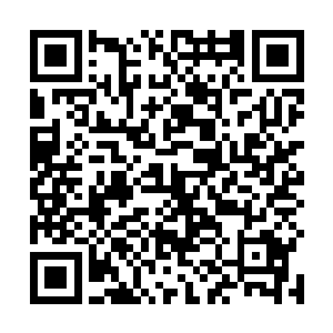 下意识往旁边那支汇聚了六支人马的大军部队看了过去二维码生成