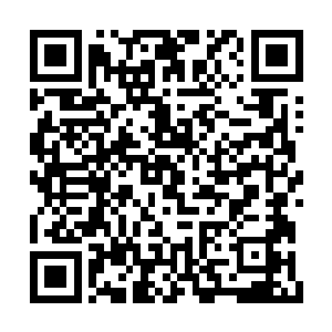 下意识的伸手拉住从自己身畔经过的苏燕青的手二维码生成