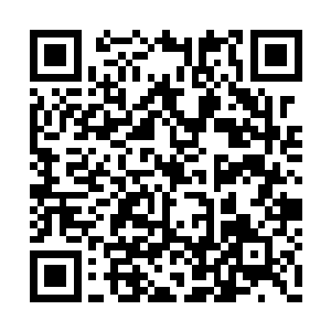 下意识的贝海就给判蹲在下面的皮球发了个消息二维码生成