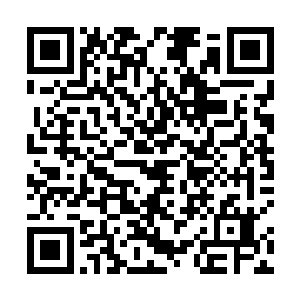 下方的一众族人都是异口同声地发出了震天的欢呼之声二维码生成