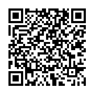 下方的修士都震惊地望着正在从空中下落的许紫烟二维码生成