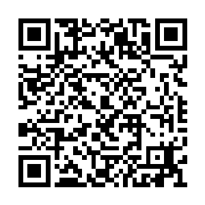 下方的数十个少年男女纷纷露出幸灾乐祸的笑容二维码生成