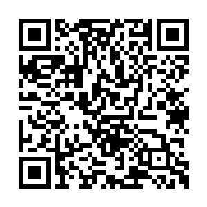 下来这些一中的学生肯定会说我是怕了这王颖了二维码生成