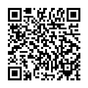 下次再跟莫名其妙的的团我就是猪头~还有那万恶的高速公路二维码生成