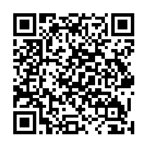 下次再遇到这样大的鱼也别过多矫情了直接上土狗就得了二维码生成