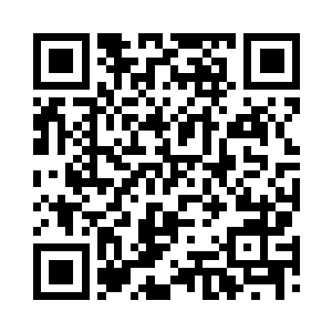 下次去巴黎带上我――我保护你――二维码生成