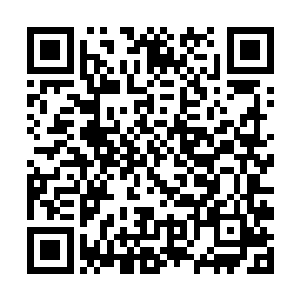 下次如果再有海盗船敢打我们白河谷地的商船的主意二维码生成