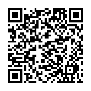 下次朝堂上就不会一边倒的被持反对意见的大臣压过去了二维码生成