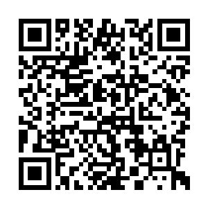 下葬时无论如何要跟着一起化为自然之母的尘土二维码生成