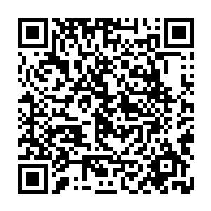 下边那个鼓起来好像涨大了的皮球一样的咕噜兽身上忽然再次发出可怕的二维码生成