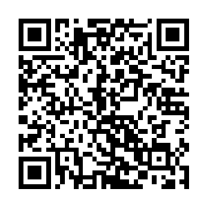 下面女佣和路小佳的一举一动他都能够看的清清楚楚二维码生成