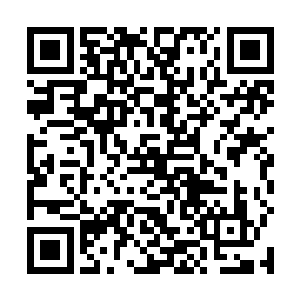 下面我们来听听这位年轻参事会带给我们怎样的惊喜吧二维码生成