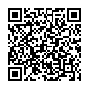 下面正玩得不亦乐乎的叶卡琳娜吃疼更是被惊吓了一下二维码生成