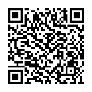 下面湿的是――厉倾城要借给陈思璇玩的小弟弟二维码生成