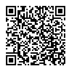 下面的事情就是静静的看着这些仙女鱼是否能够带领着海葵海马活下去了二维码生成