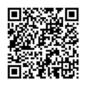 下面的妖若仙也没想到自己会卷入这样的事情里面二维码生成
