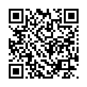 下面的石秀才看到江帆趴在树上不动了二维码生成