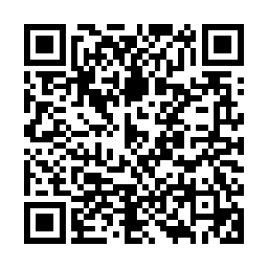 下面的那些嗷嗷乱叫的熊人们突然就毫无征兆地集体停住不动了二维码生成