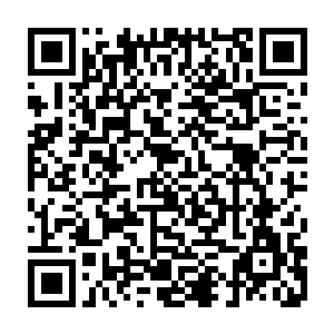 下面这只不知天高地厚的魔兽蛋就是一只干瘪的海绵一样疯狂的吸食灵力二维码生成