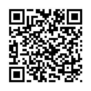 下面那些矮小的灌木根刺到后脑勺二维码生成