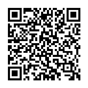 下面那密密麻麻的人群的骚动渐渐的平息了下来二维码生成