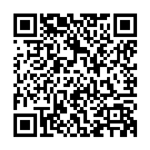 不……不可能的……居然是这样……可上神怎么可能会放弃我们二维码生成