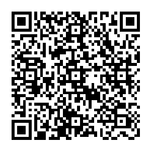 不……不是……我们也不知道会是如此呀……只知道夏道友的师父给装进了葫芦里二维码生成