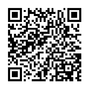 不……不要呀……救命……别过来……别过来……二维码生成
