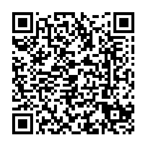 不……这只是正常人在面对白痴和未知威胁时做出的合理选择罢了……二维码生成