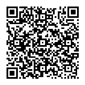 不…不…这不可能…这不可能为什么会这样为什么会这样我的琴音为什么影响不到你二维码生成