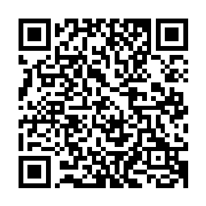 不一会儿大殿上除了侍候着的内侍以外就只剩下小皇帝墨夙云了二维码生成