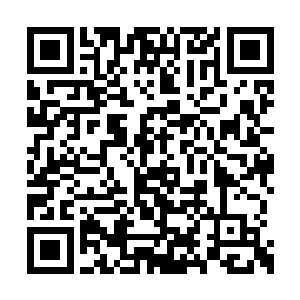 不一会这里就出现了一个满是青条石铺就的大坑二维码生成