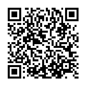 不下万头毛皮就好像是一大块纯银一般耀眼的银色巨狼二维码生成