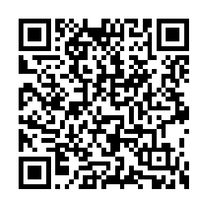 不久后只听一阵接一阵马踏大地的响声轰然响动二维码生成