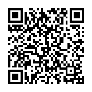 不久后终于在不远处的一处草丛里找到了那块所谓的通讯器二维码生成