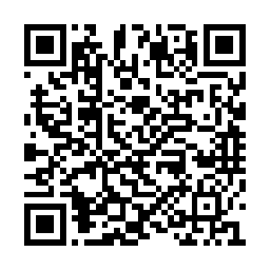 不久的将来我就会和他有一场龙争虎斗的对决呢二维码生成