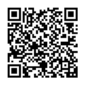 不也是将玄黄大陆修真门派里的高阶修士几乎全都拉拢过来了吗二维码生成