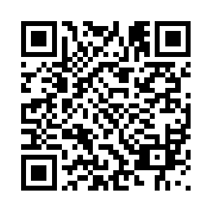 不也曾放弃了这个回归和光复之梦二维码生成