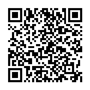 不仅丝毫不过问剑尘身上是否带有其他生灵的事二维码生成