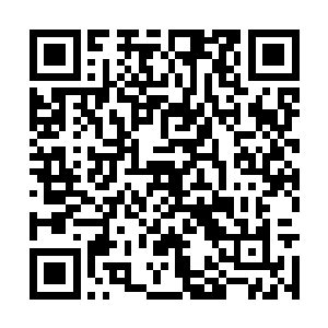 不仅仅只是司见御一个人在等着关灿灿接下去的话二维码生成