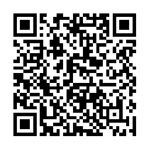 不仅仅因为莱昂纳多那宛若预言自己未来一般的话语二维码生成